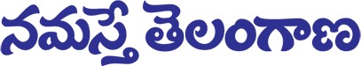 ntnews_logo